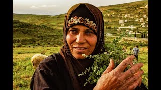 Doha - A Palestinian, Women, and Farmer