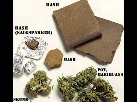 مهرجان الادمان 2011  