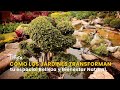 Cómo los Jardines Transforman tu Espacio: Belleza y Bienestar Natural- TvAgro por Juan Gonzalo Angel