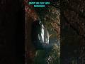 These Secrets Of BMW Will Amaze You😱 #facts #factopilot #amazingfacts