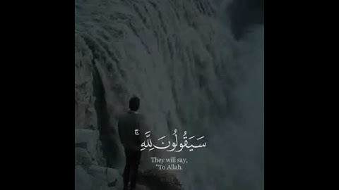 القارئ عبد الرحمن العمري سورة (المؤمنون)