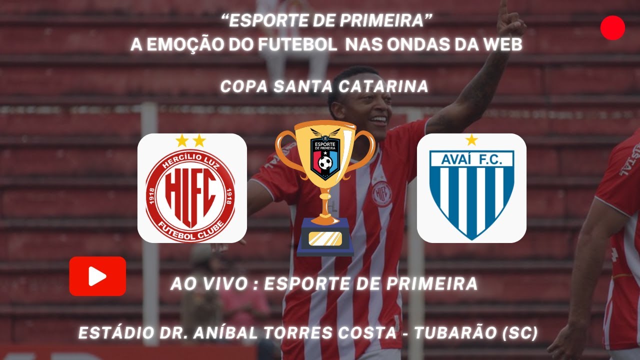 Blog do Tarnowsky: Jogos do Avaí na Copa Santa Catarina