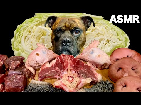 【大食い犬ASMR】生肉や骨よりもキャベツが1番いい音出してそうwww