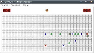 Minesweeper 2000 v2.5 (Windows game 2000) screenshot 3