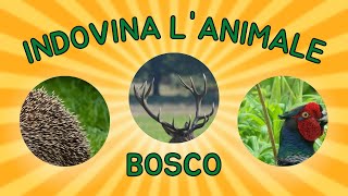 🌲 Animali del Bosco - Indovina l'Animale dal Particolare - Quiz 🌲 screenshot 5