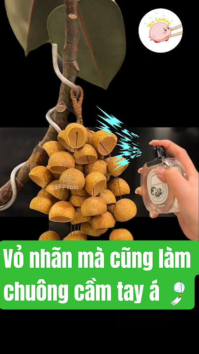 Longan shell can also be used as a hand bell #shorts
