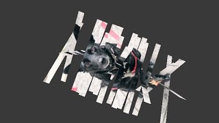 BLENDERSUSHI / AN 2D Grid Slicing Script and Animation (LIVENODING212)