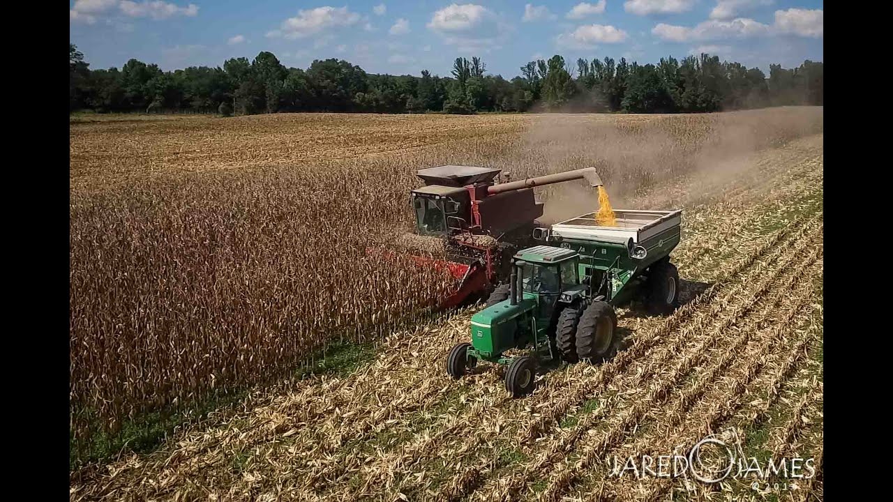 Douglas Farms 2016 Wildersville, TN YouTube