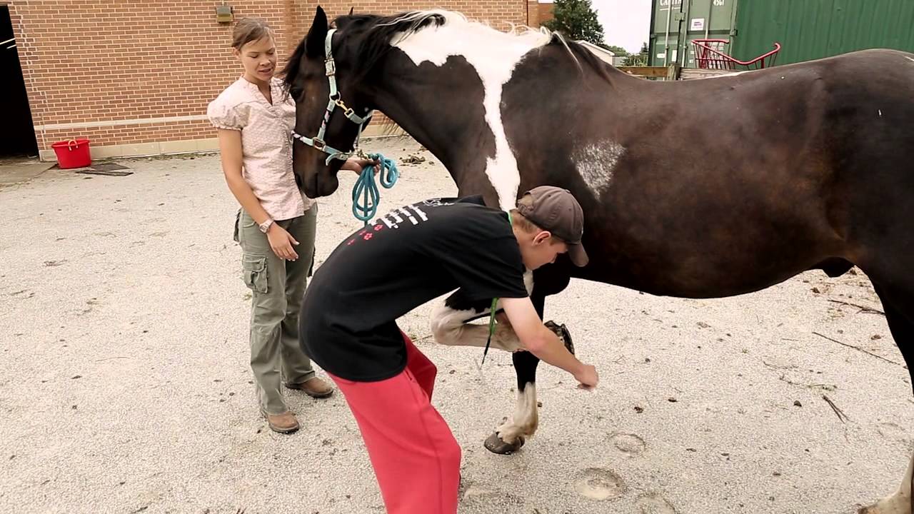 life insurance comparison 2014 - Maggie Kendall