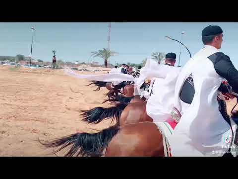 عقد السلام جنزور فرسان ليبيا اهذاء من رماح العطوى