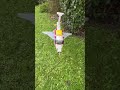 #crash