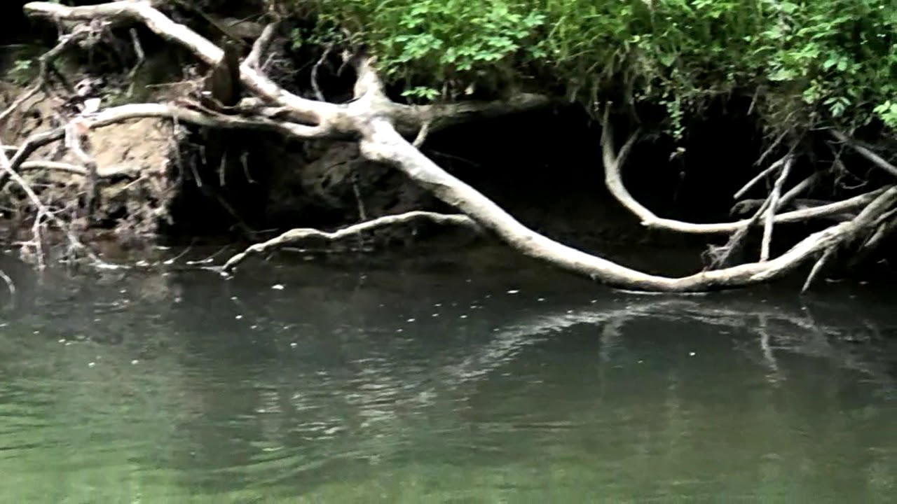 Lots And Land for sale 00 SE Trewhitt Rd Se Rd, Cleveland, TN 37323 YouTube