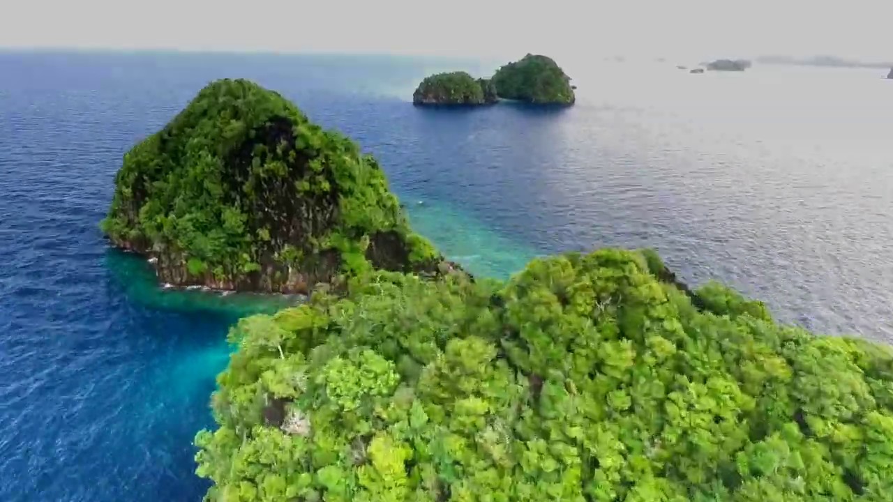 Raja Ampat with The Arenui Liveaboard