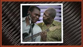 THE BEST OF BLUES MAN  ROBERT CRAY - A MASHUP