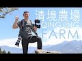 QingJing Farm 清境農場 - Life in Taiwan #17