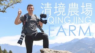 QingJing Farm 清境農場- Life in Taiwan #17