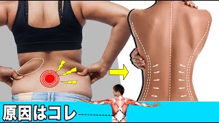 【衝撃】腰痛・うきわ肉の原因は同じだった！