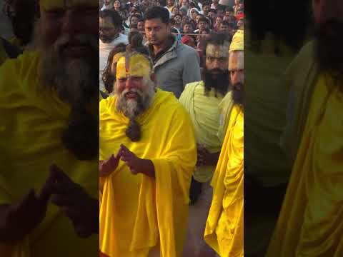 महाराज जी दर्शन #shorts #viral #premanandjimaharaj #kelikunj #radharani #radheradhe #explorepage