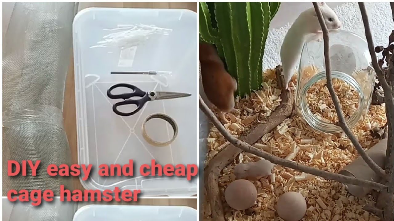 Photo inspiration: Picture Idea: DIY Syrian Hamster Cage Easy And Cheap In The Budget
