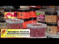 Guerrieri - IL CavenagoFanfulla ricevuto dal Vescovo di Lodi Maurizio Malvestiti 1