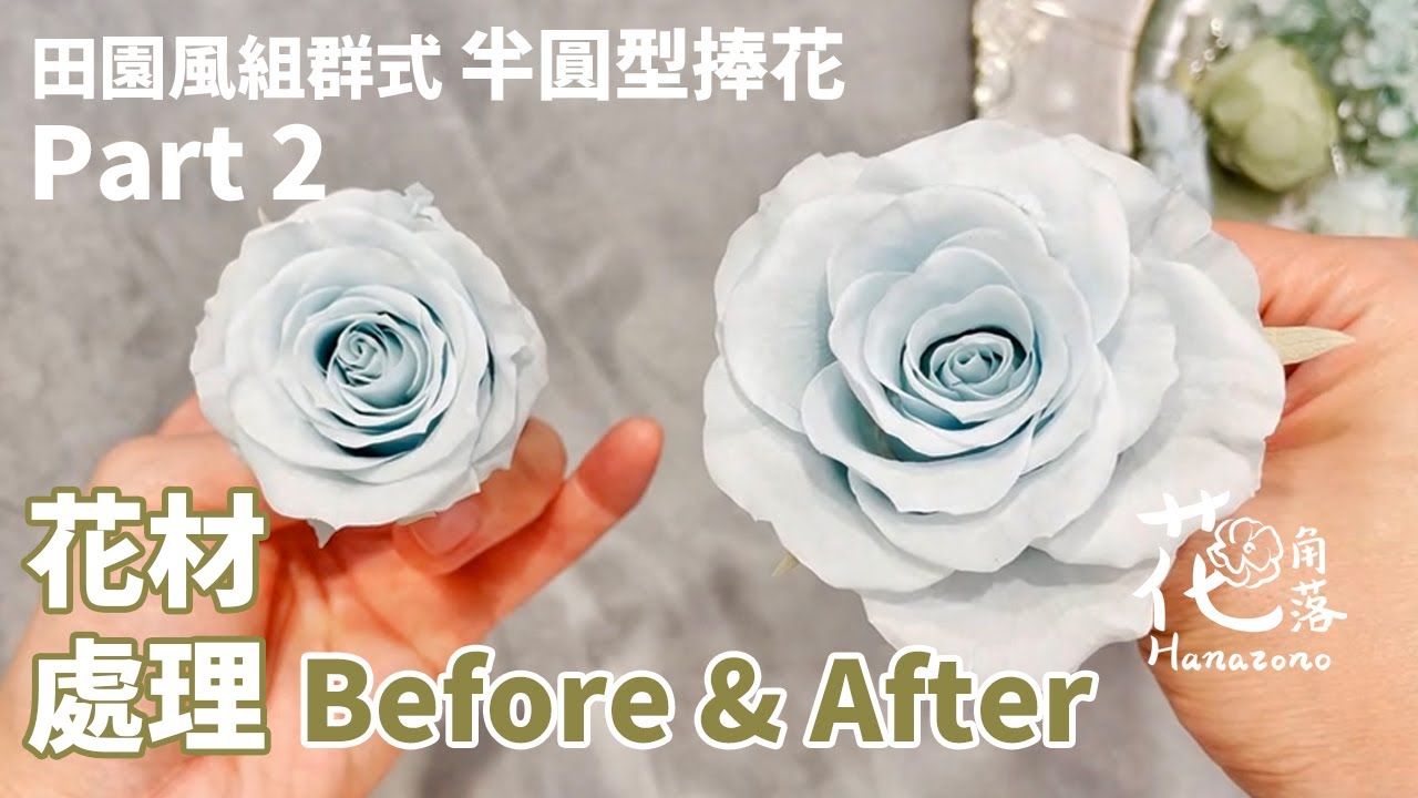 Prepare preserved flowers for your bouquet《不凋捧花自己做》第一式「田園風組群式半圓型捧花」 Part 2 花材處理 Before & After