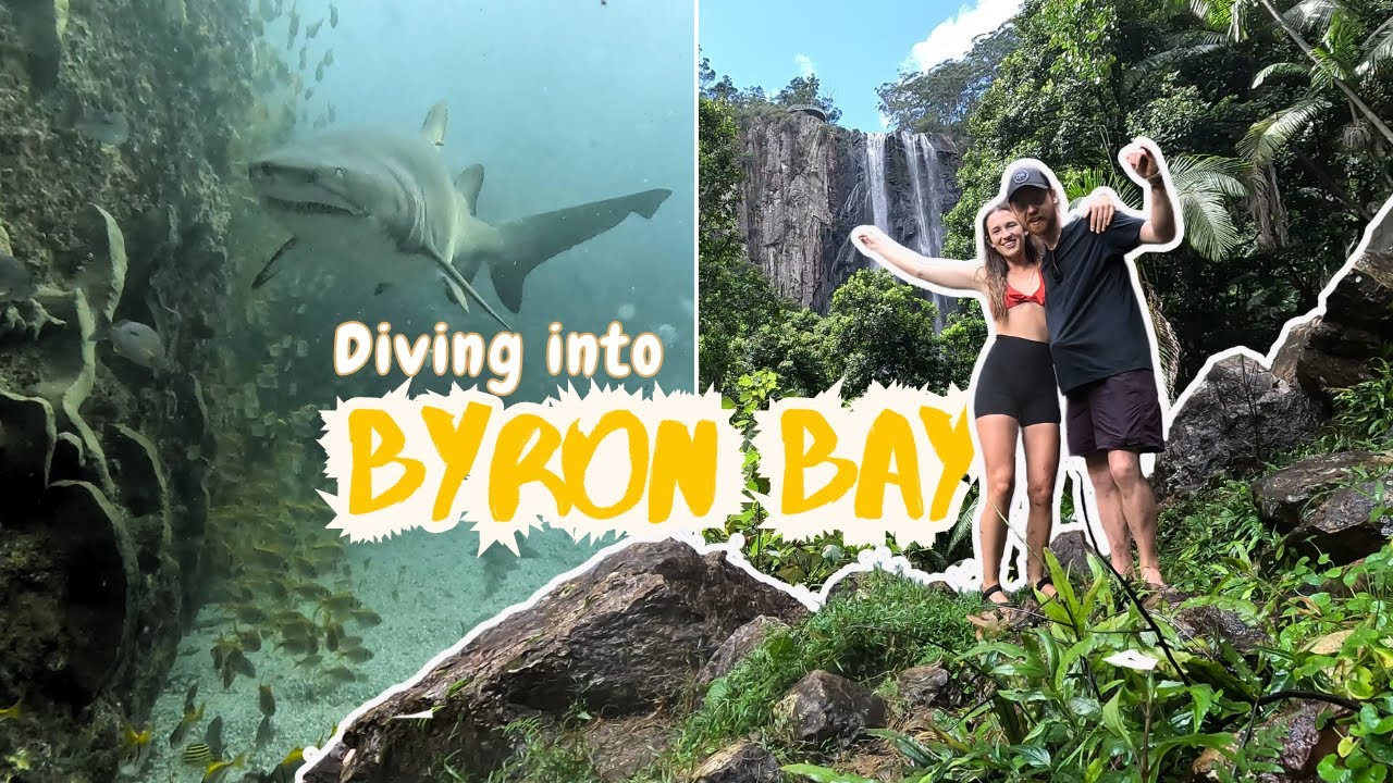 OUR FAVOURITE DIVE SITE IN AUSTRALIA || Julian Rocks, Byron Bay (Aussie ...
