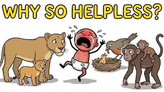 Why Are Human Babies So Helpless
