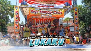 Lukaku Lagu Djandut Rogo Samboyo Putro  Viraalll 2024