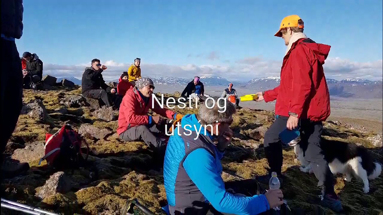 Ármannsfell, Þingvallafjall nr. 21 á árinu 2020 160620. — Ármannsfell, Iceland — video poster