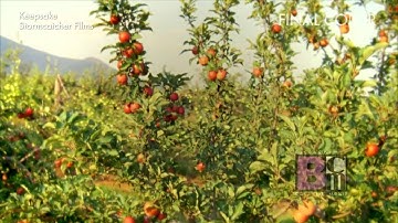 Biscardi Creative Media Demonstration Reel