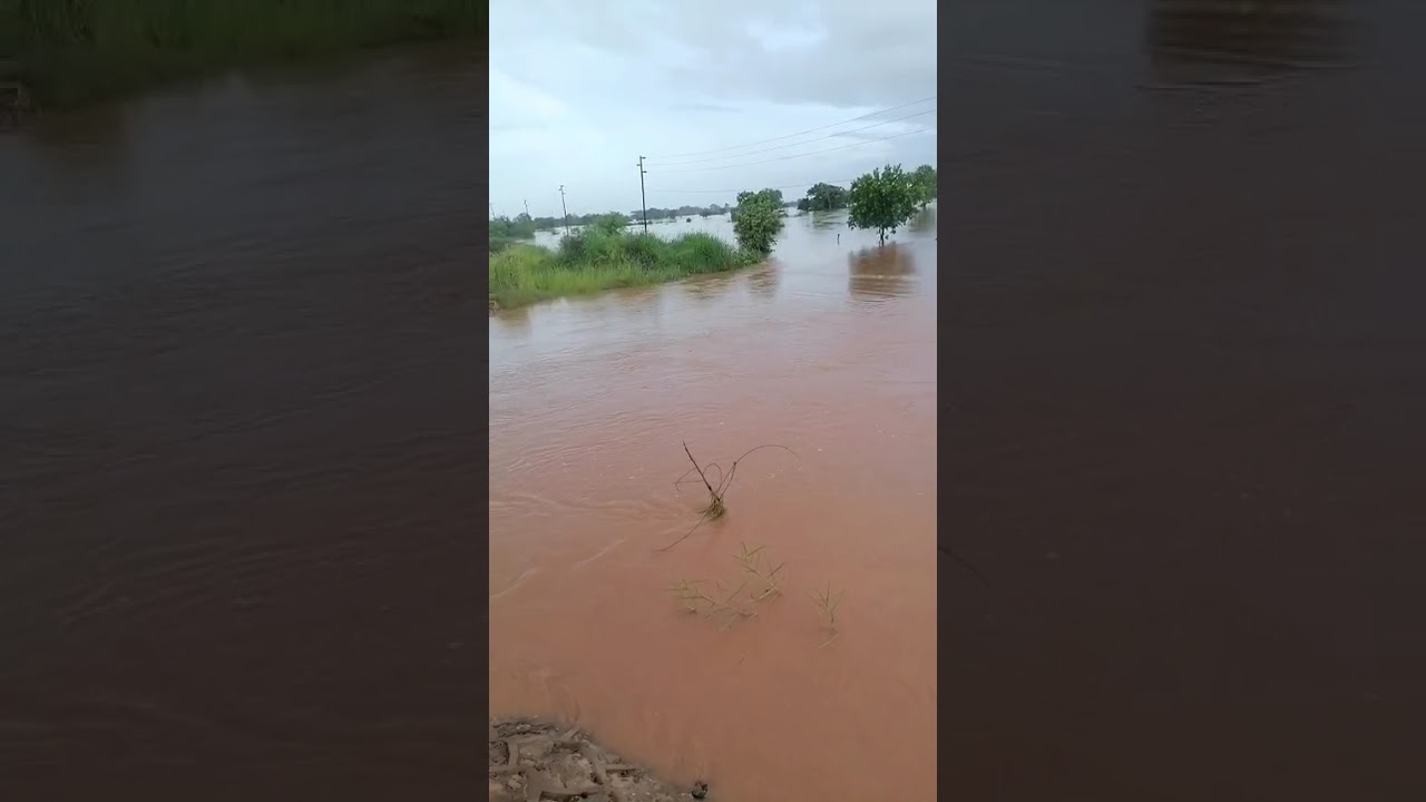 Isso está acontecer em Moçambique 🇲🇿 Sofala distrito d Búzi.. de Guará Guará +258 84 393 9881mpsa