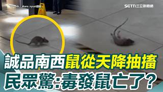 社會事件與反應