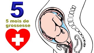 Différence entre le dos de bébé et les côtes de rechange