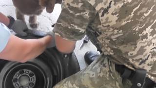 В «Гоптівці» службовий собака виявив майже 4 кг наркотиків В «Гоптівці» службовий собака виявив майже 4 кг наркотиків