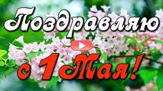 С 1 Мая! Поздравляю с Первомаем! Мира, добра и счастья вашим семьям! Музыкальная открытка с 1 Мая