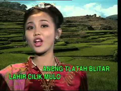 Cici Shahita   Blitar