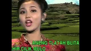 Cici Shahita   Blitar