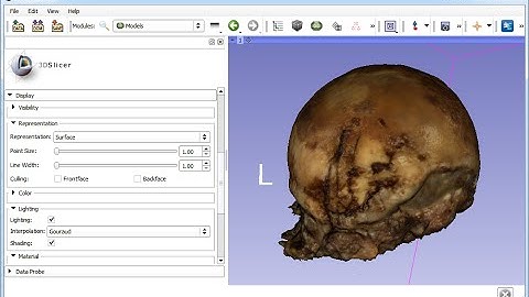 Importing of color surface scans into 3D Slicer
