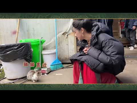Victoria Song (宋茜) is so warm, covers a kitten from the cold