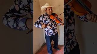 Tema de moda 🎻