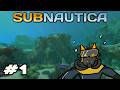 Crash Landing! | Subnautica Blind Play through Pt.1