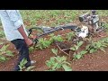 Brinjal bed making with really 6hp power weeder