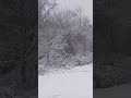 IT FINALLY SNOWED!!!!!!!!!!! ❄️🥶🌨️