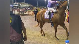 SANIDEE wins trail #7 for the texas classic futurity  at lone star park (11-8-2020)