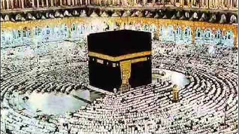 الشيخ محمد البراك , سورة الملك   YouTube