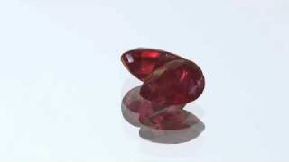 Celebrity Ruby 006 - RF491.mov Wealth