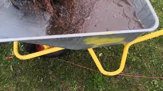 Plantning Af Bøgehæk I Horsens