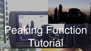 Peaking Function Tutorial screenshot 5