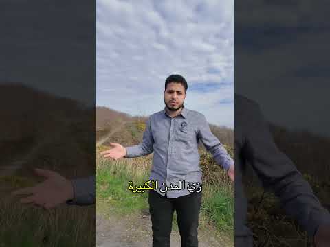 تعيشو في ويلز ولا إنجلترا بريطانيا انجلترا