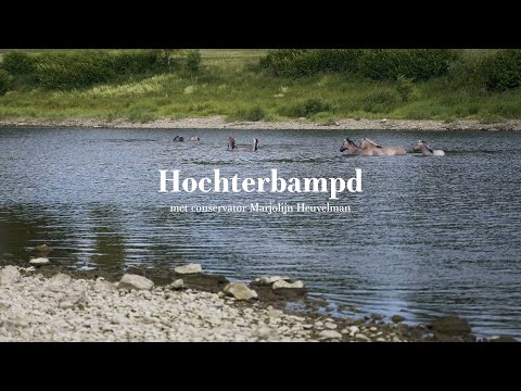 Natuurgebied Hochterbampd - Rivierpark Maasvallei